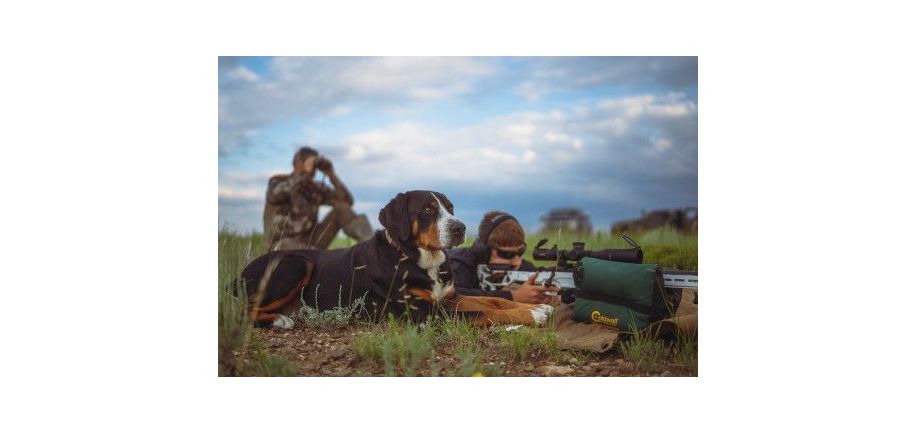 American Outdoor Brands