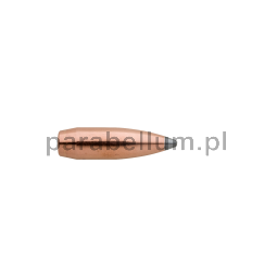 Pociski Sierra Bullets .224 SBT 62 grs op. 100 szt. GameKing #9362