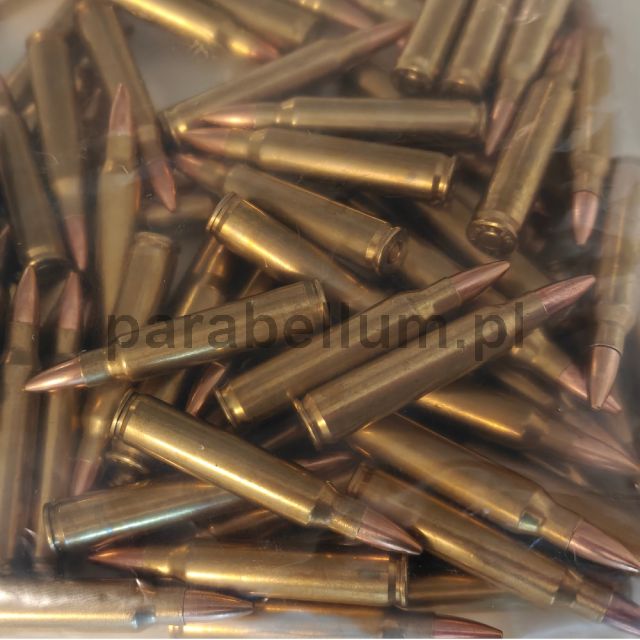 INVICTUS - Amunicja elaborowana 223 Rem FMJ 55 gr/3,56g op. 100 szt.