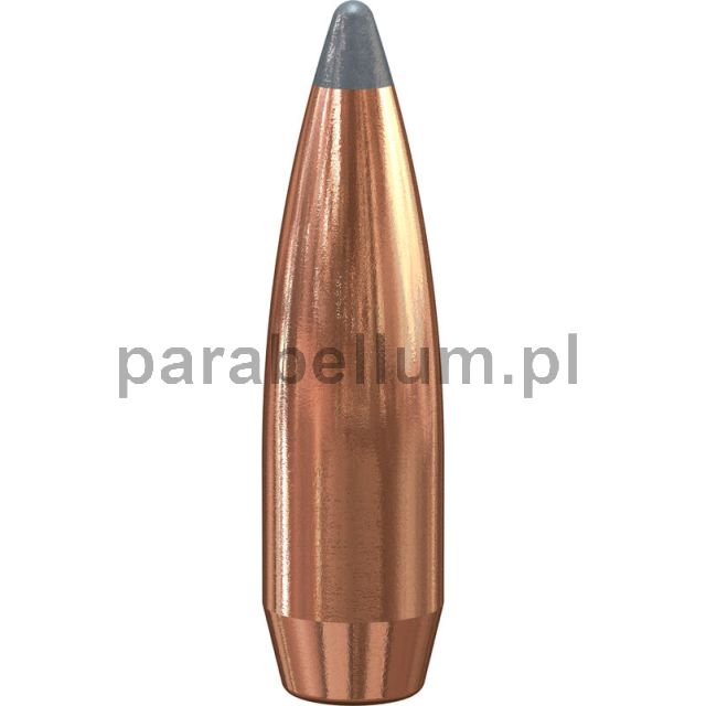 Pociski karabinowe Speer kaliber 7.62mm (.308/7,82 mm), 165 gr. SP BT, Op. 100 szt.