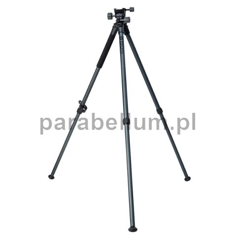 Tripod BOG Bantam